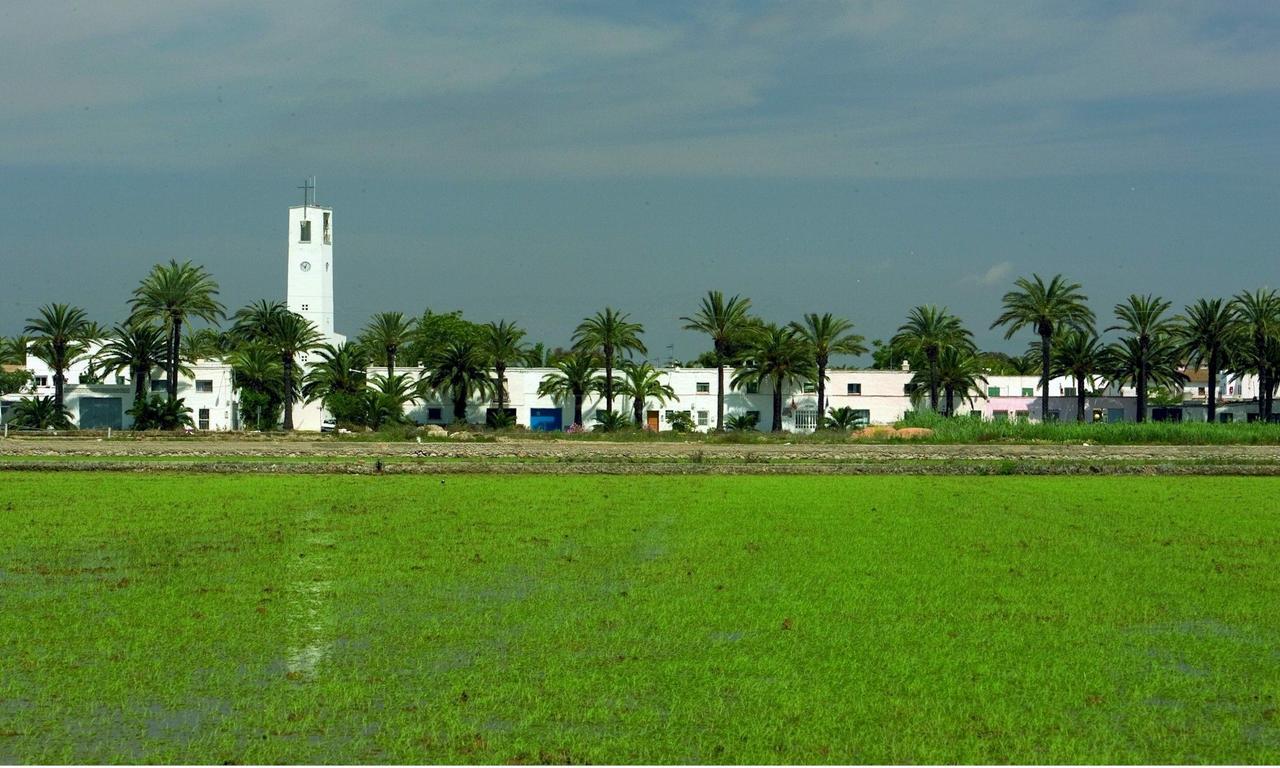 Mas Illa De Riu - Autentica Masia Del Delta Del Ebro Con Capacidad Para 20 Personas - Deltavacaciones سانت جاومي د إنفيجا المظهر الخارجي الصورة