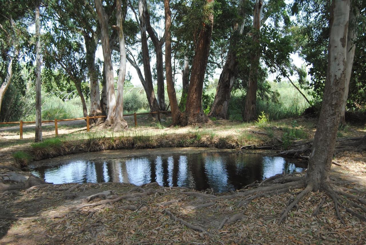 Mas Illa De Riu - Autentica Masia Del Delta Del Ebro Con Capacidad Para 20 Personas - Deltavacaciones سانت جاومي د إنفيجا المظهر الخارجي الصورة